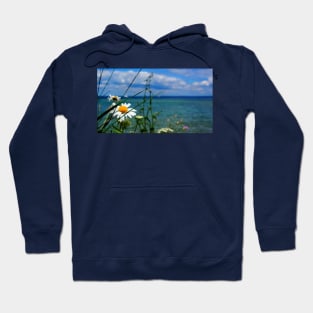 Daisy at the Lake Hoodie